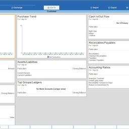 TallyPrime Gold- Lifetime license for Unlimited users/PCs on LAN - Accounting, GST, Invoice, Inventory, MIS & more (No CD. E-mail delivery in 2 hours) image 4