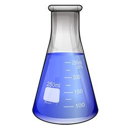 randhawa global RG� Borosilicate Glass Graduated 250ml Conical Flask (1) image 1