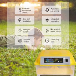Ndeal | Egg Incubator for Hatching Eggs, Digital Mini Incubator with Automatic Turner for Hatching Chicken Duck Quail Bird Eggs(48 Eggs) image 4