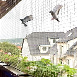 Mr. Right Pigeon Nets for Balconies (10x6 Ft), Anti Bird Control Net, Heavy Duty HDPE Mesh Net for Balconies, Installation Kit Included image 1