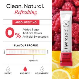 Wellbeing Nutrition HydraSalt Electrolyte Drink with Zero Added Sugar | 5 Electrolytes & 3 Vitamins for Instant Hydration, Energy, Performance & Recovery, Raspberry Lemon Flavor 90g, Pack of 15 image 4