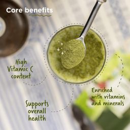Two Brothers Organic Farms Moringa Powder, made using Farm Grown Moringa Leaves (Drumstick) | Rich in Nutrients | Chemical Free Lab - Tested 100 gms image 5