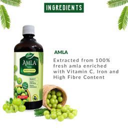 Dabur Amla Juice -1L | Rich Source of Vitamin C | Effective Antioxidants for Immunity boosting | Pure, Natural and 100% Ayurvedic Juice image 3