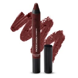 facescanada FACES CANADA Ultime Pro Matte Lip Crayon - Brunette (Brown), 2.8g | 8HR Long Stay | Smooth Creamy Matte Texture | Intense Color in 1 Stroke | Hydrates With Chamomile & Cocoa Butter image 1