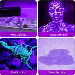 COSOOS 2 Pack UV Flashlight, 12 LED Handheld Blacklight Flashlight 395nm Mini Light Torch Detector for Dog Pet Urine Stains, Bed Bugs and Scorpions. (Batteries not Included) image 4
