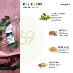 Sheopals Super Combo Liver X Factor 60capsule for Liver Detox & Herb 69 Vibe Booster 60capsule for Stamina, Strenght & Performance image 2