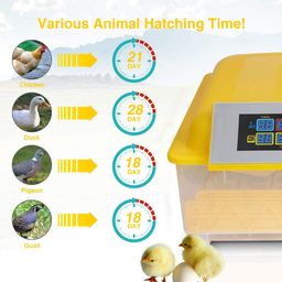 Ndeal | Egg Incubator for Hatching Eggs, Digital Mini Incubator with Automatic Turner for Hatching Chicken Duck Quail Bird Eggs(48 Eggs) image 5