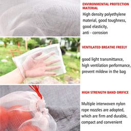 daffodils traders 4"x6"Size-100Pcs Set Garden Plant Against Insect Fruit Protect Drawstring Mesh Net Bag, Fruit Protect Bag with Drawstring, Reusable Nylon Mesh Garden Netting Protection Bag for Plant/Fruit/Flower image 5