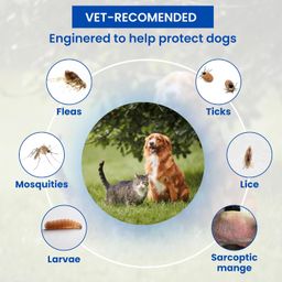 medfly Parashield Spray (100ML) for Ticks and Fleas | Fast Acting, Long Lasting - Effective Spray for Dogs and Cats| Powered by Fipronil for Strong, Enduring Defense image 4
