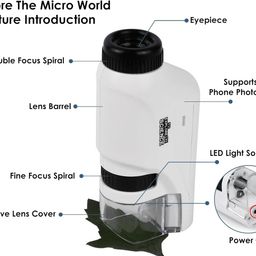 Groot Troco Minilabsters Miniscope Students,Pocket Microscope for Students,Portable Microscope | The Miniscope image 3