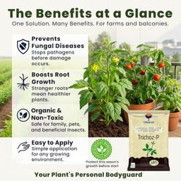 Utkarsh Trichoz-P (Trichoderma Viride 1.5% W.P.: 2 x 10^6 CFU/gm min.) for Plants, Crops and Home Gardening (3 Kg; Pack of 3 of 1 Kg) image 2