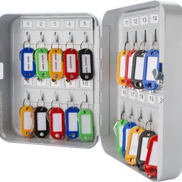 Toriox Wall Mounting Key Safe Box 20 Keys Cabinet Box With Lock, Metal 20 Key Capacity Safe Storage Key Lock Box With Number Tags & Hooks For Homes image 1