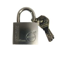 generic Small Size computur Key Lock for Door Gate Lock I Lock for Tool Box, Shutters, Shops & Offices I Corrosion Resistant Shackle I Silver Finish image 1