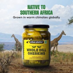 Urban Platter Whole Dill Gherkins, 680g [ Sweet & Crunchy. Great for Adding Tang & Flavour to Sauces & Dips. ] image 5