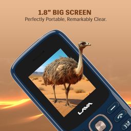 Lava All-New A1 Copper Keypad Mobile Phone with Long Lasting Smart AI Battery | 1.77inch Display | Bluetooth Support | Military Grade Certified | 32 GB Expandable Memory | (Blue Silver) image 5