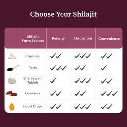Man Matters Shilajit Ashwagandha, Gokshura, Safed Musli Capsules For Men | 60 Capsules | 20 Ayush-Approved Ayurvedic Herbs | Helps Maintain Overall Health image 5