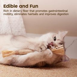 bnf bnf® 2x3Pcs Catnip Toys Cat Nip Sticks for Indoor Cats Wood for Rabbit Groundhog | Small Animal Supplies | Exercise & Toys image 3