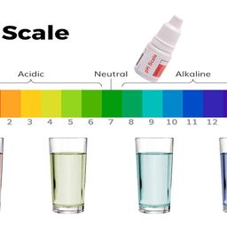 Konvio Neer pH Drop for pH Testing and Alkaline level, for pH Water Testing with pH Color Chart, pH Test Kit, Litmus liquid (2 Bottle) image 2