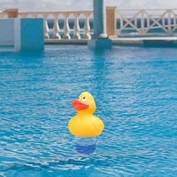 LOOM TREE Automatic Chlorine Floating Dispenser Adjustable for Pools Premium Cleaning Duck image 4