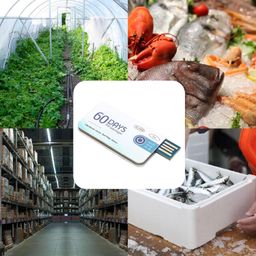 yunseity Disposable USB Temperature Recorder, Temperature Data Logger Recorder Up to 10000 Groups Storage, Cold Chain Shipping Temperature Chart Recorder with PDF Report image 2