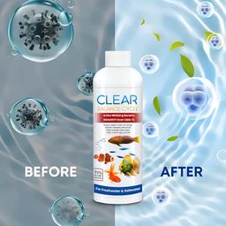 RATEJI Automatic Fish Tank Cleaner Liquid Cloudy Water Remover for Crystal Clear Aquarium Water| Cleaner Balance Cycle for Fish Tank | Algae Remover (100ml X 2) image 5
