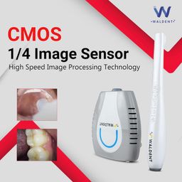 Waldent Intraoral Camera for Dental Use | WiFi Enabled, 8MP CMOS Sensor, 4X Zoom | High-Resolution Images | 32GB Storage | Connects to 1 or 4 Screens | Ideal for Precise Diagnostics & Exams image 4