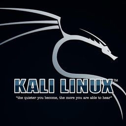 generic Kali Linux OS Ver 2024 Everything Live + Installer 64 Bit Penetration Testing Operating System 32 Gb USB image 1