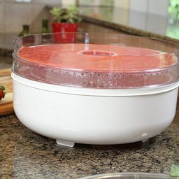 paratpar mall New Imported Plastic Electric Transparent 5 Tier Countertop Dry Food Saver/Dehydrator/Preserver Jerky Fruit, Vegetables and Nuts, Maker Machine with Adjustable Temperature Control. image 4