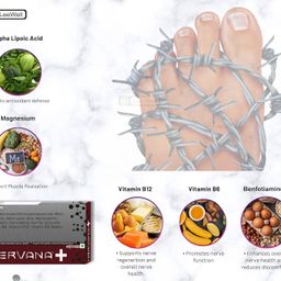 Nervana +Plus Nerve Pain Relief Nerve damage, Nerve weakness, Nerve Blocks, Combats Sciatica Pain, Tingling Sensation, ALA Alpha Lipoic Acid, Palmitoylethanolamide, Benfotiamine, Curcumin, Bioperine, Commiphora Myrrha, Magnesium glycinate, Vitamins B12, B6, B9 & B1 - 30 chewable sugar free tablets (15 days use) image 5