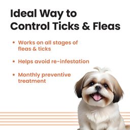 Vivaldis VI-FI Forte 0.67 ml - Single Pipette - Spot on Solution for Prevention & Effective Control of Flea, Tick & Chewing Lice Treatment for Dogs Weighing Upto 10kg image 4