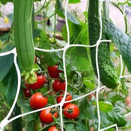 generic SEEDERRA Plant Climbing net & Creeper Net & Plant Trellis Net Plant Support Net Green Color for Agriculture and Gardening Net - 4Feet x 6Feet (Pack of 1) image 3