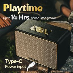 Boult Newly Launched Retroamp Z40 with 40W Bluetooth Speaker with Dual Dynamic Drivers, 14Hrs Playtime, Rugged Leather Body, Type-C Charging, Karaoke Mic Input, BTv 5.3 Portable Speaker (Royal Gold) image 5