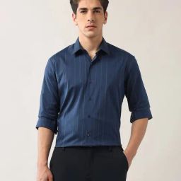 Arrow New York Blue Cotton Slim fit Stripes Formal Shirt-image-13
