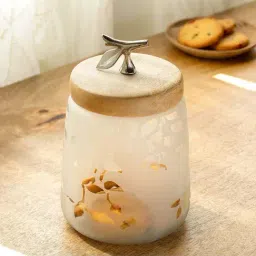 ellementry Twiggy Frosted Transparent Glass Jar with Lid (500 ml) - Set of 1-3