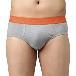 UnderJeans by Spykar Grey Briefs-image-38