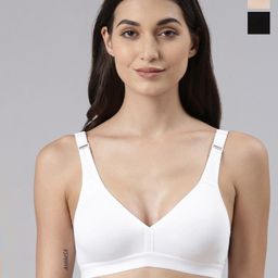 Dollar Missy Pack of 3 Combed Cotton with Stretchy Elastane Wire-Free Basic Support Bra-26