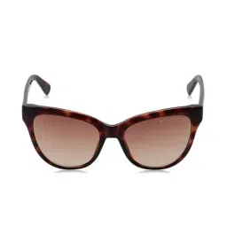 Giordano GLS805C002 Brown Cat Eye Sunglasses-image-55
