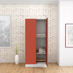 Godrej Interio Slimline 2 Door Steel Almirah, (1 Year Warranty, Tex Terracotta Color)-image-50