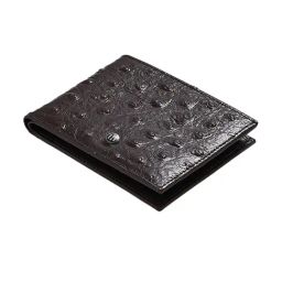 Halden Brown Textured Small Leather Bi-Fold Wallet for Men-9