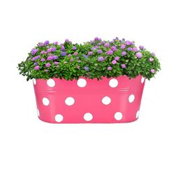 Go Hooked 12 Inch, Pink Polka Dot Printed Metal Hanging Planter-13