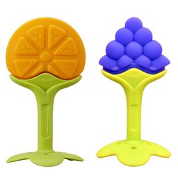 FANTASY INDIA Baby Silicone Teether Orange & Grapes-27