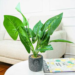 Ekhasa Green & Grey Dumb Cane Artificial Flower With Cement Vase Pot-20