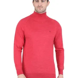 Monte Carlo Pink Regular Fit Pullover-17