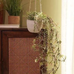 Pure Home and Living Green Artificial Hanging Plant with Cement Pot-image-95