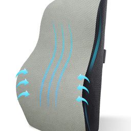 Sleepsia Memory Foam Lumbar Support - Orthopedic Back Cushion | Back Rest for Car and Office Chair | Back Pain Relief Spine Alignment Sitting Pillow with Removable Cover (Grey/Black)-14