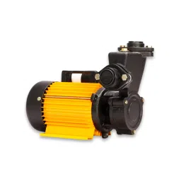 EKKI 10DZ-R 1HP Single Phase Self Priming Water Pump-picture-37