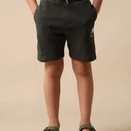 U.S. Polo Assn. Boys Green Cotton Textured Shorts-picture-46