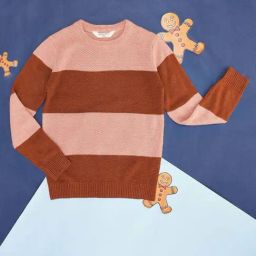 Pantaloons Junior Brown & Pink Striped Full Sleeves Sweater-image-44