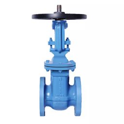 Leader 3 inch, 80 mm Ductile Iron Gate Valve, DI 058-image-54