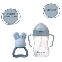 B.Box Sippy Cup with Chill Fill Teether - Baby Feeding & Teething Combo-25